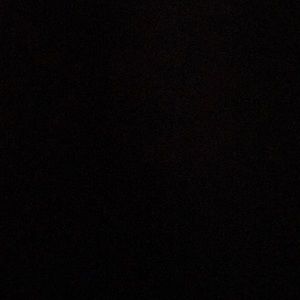 Meet your Posher, Dolores